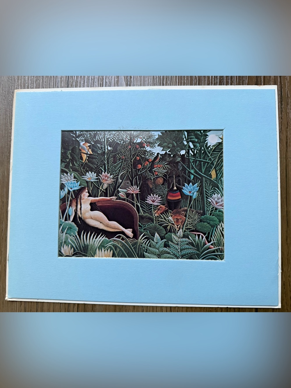 8x10 Matted Postcard The Musuem of Modern Art The Dream by Henri Rousseau